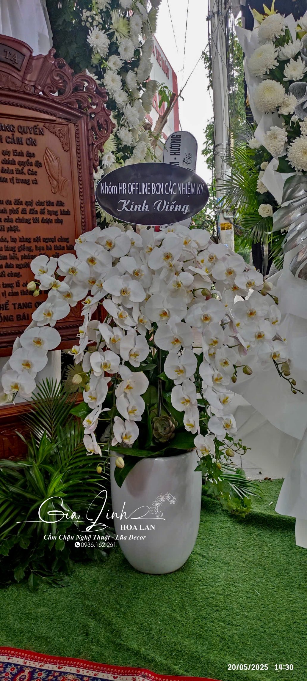 chậu lan hồ điệp đám tang Thủ Dầu Một Bình Dương