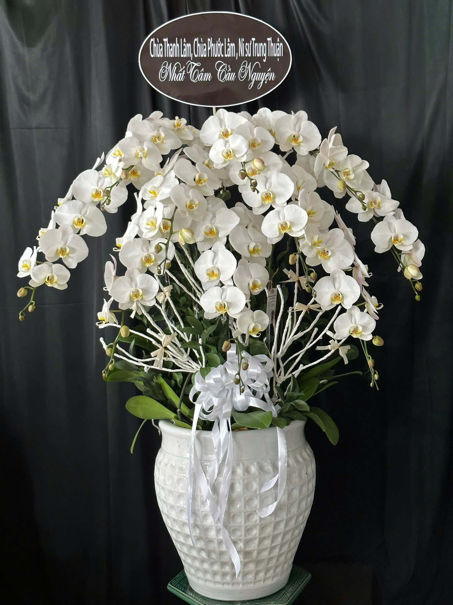 chậu lan hồ điệp đám tang Thủ Dầu Một Bình Dương