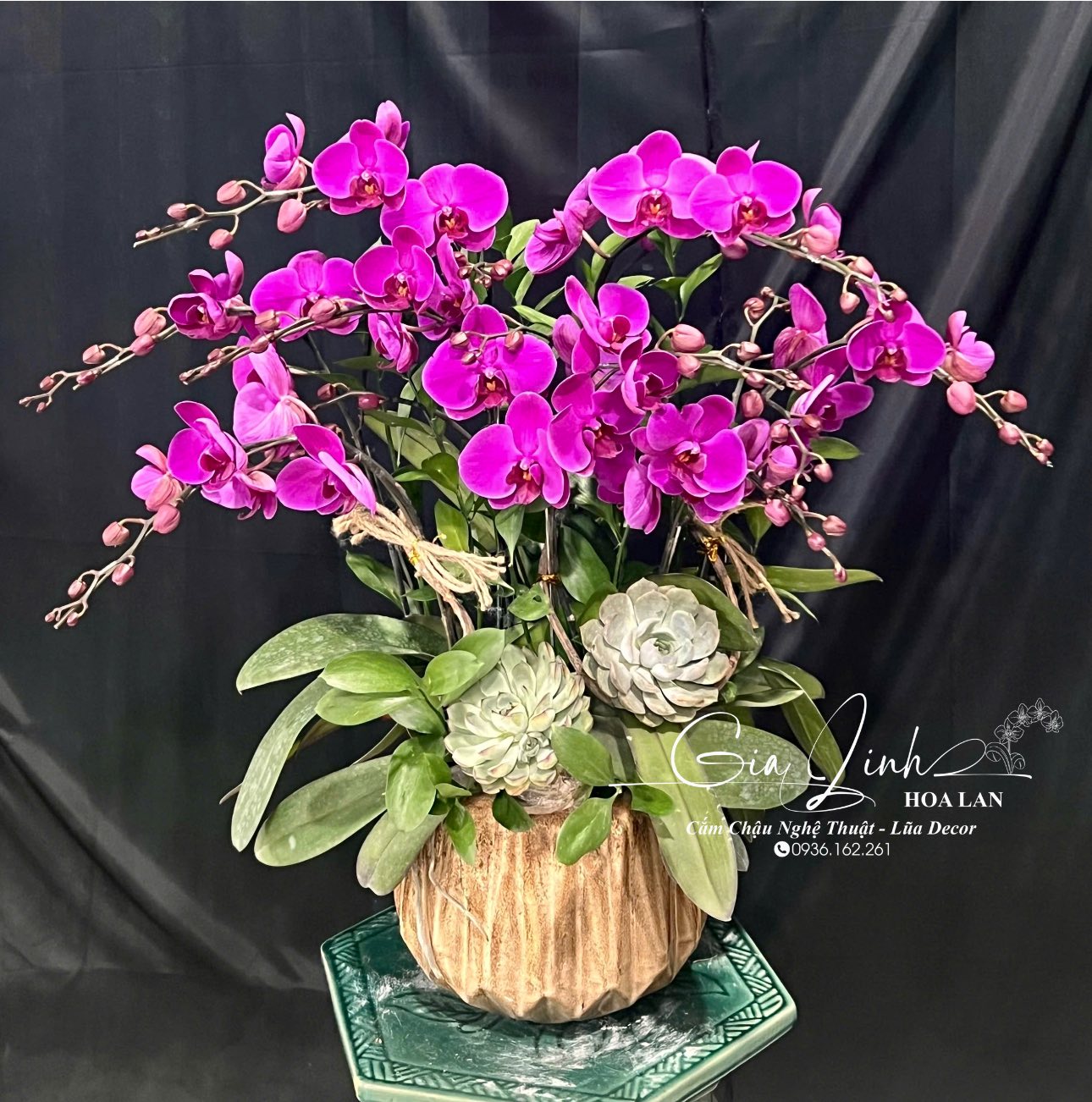 chậu hoa lan để bàn thờ