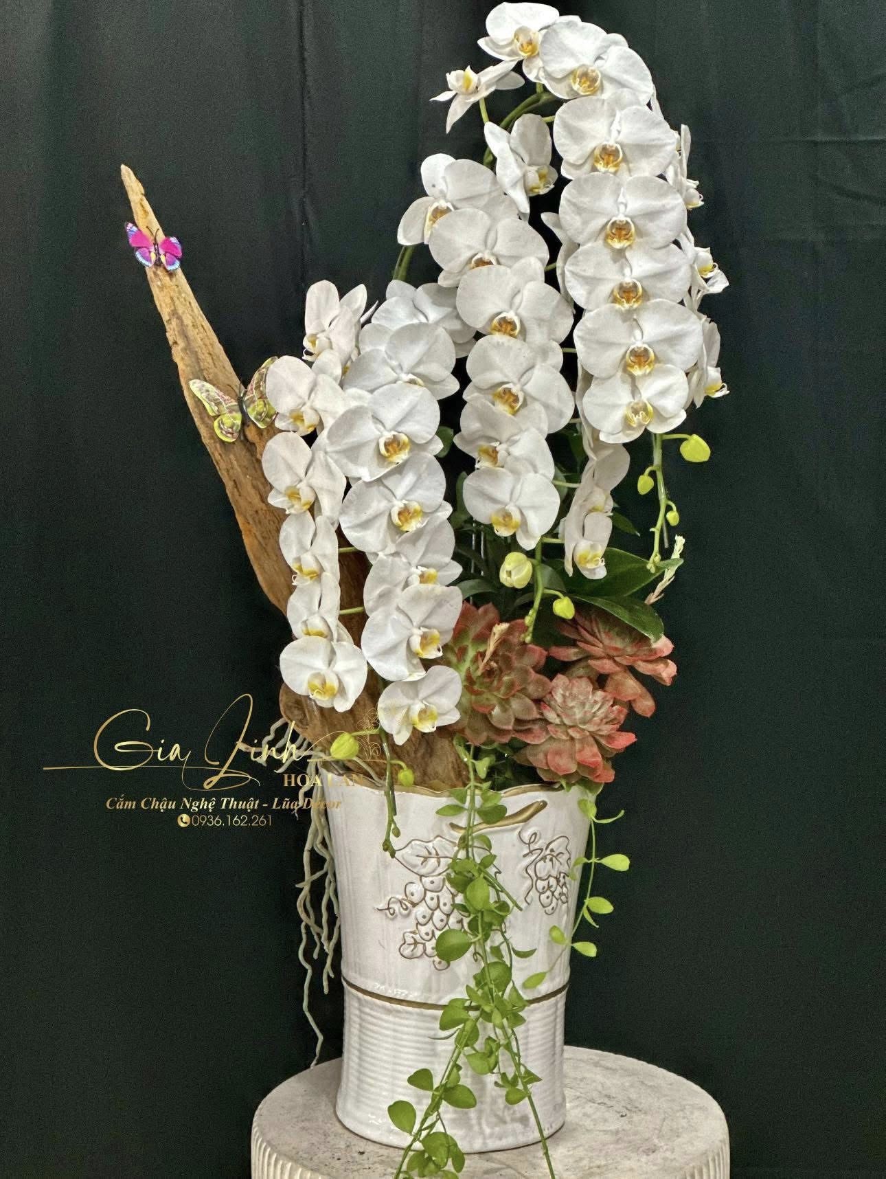 chậu hoa lan để bàn thờ