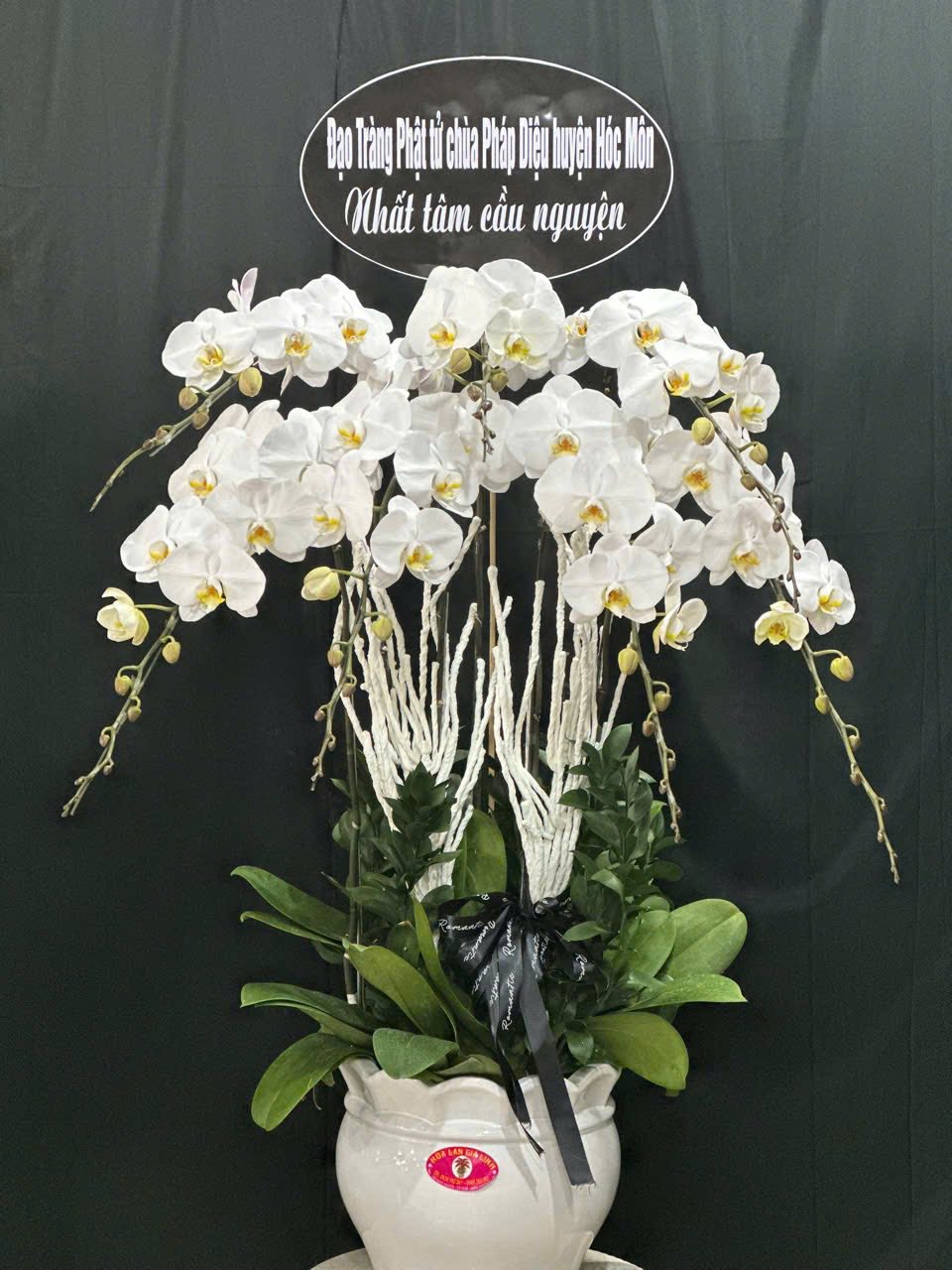 chậu lan hồ điệp kính viếng