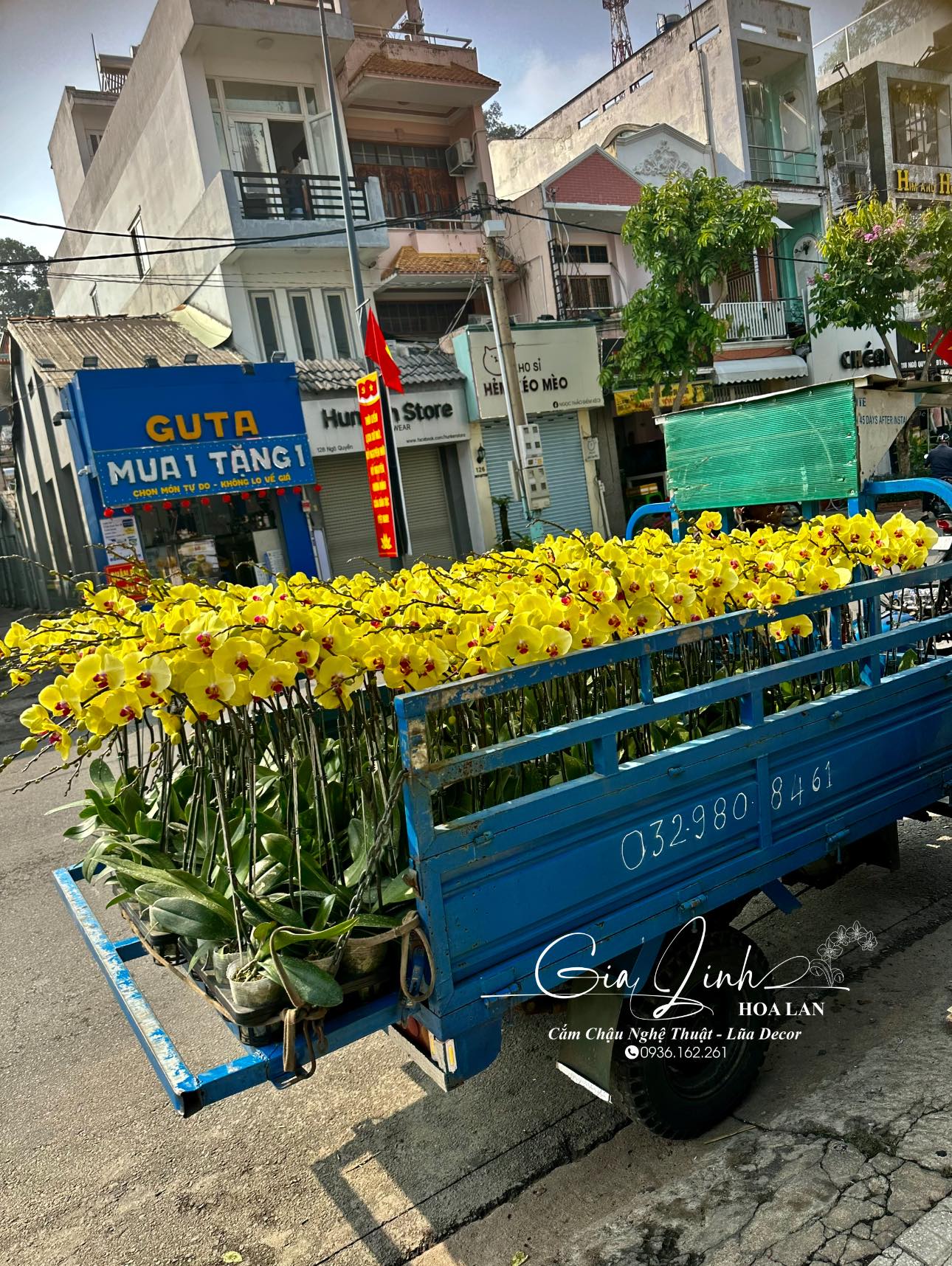 Hoa cẩm tú cầu      Hoa cẩm tú cầu có hình dáng độc đáo và màu sắc rực rỡ. Đây là một lựa chọn tuyệt vời để tặng hoa 8 3 giá rẻ. Bạn có thể chọn những bông hoa cẩm tú cầu màu đỏ, hồng hoặc tím để tạo nên một bó hoa tươi sáng và nổi bật.