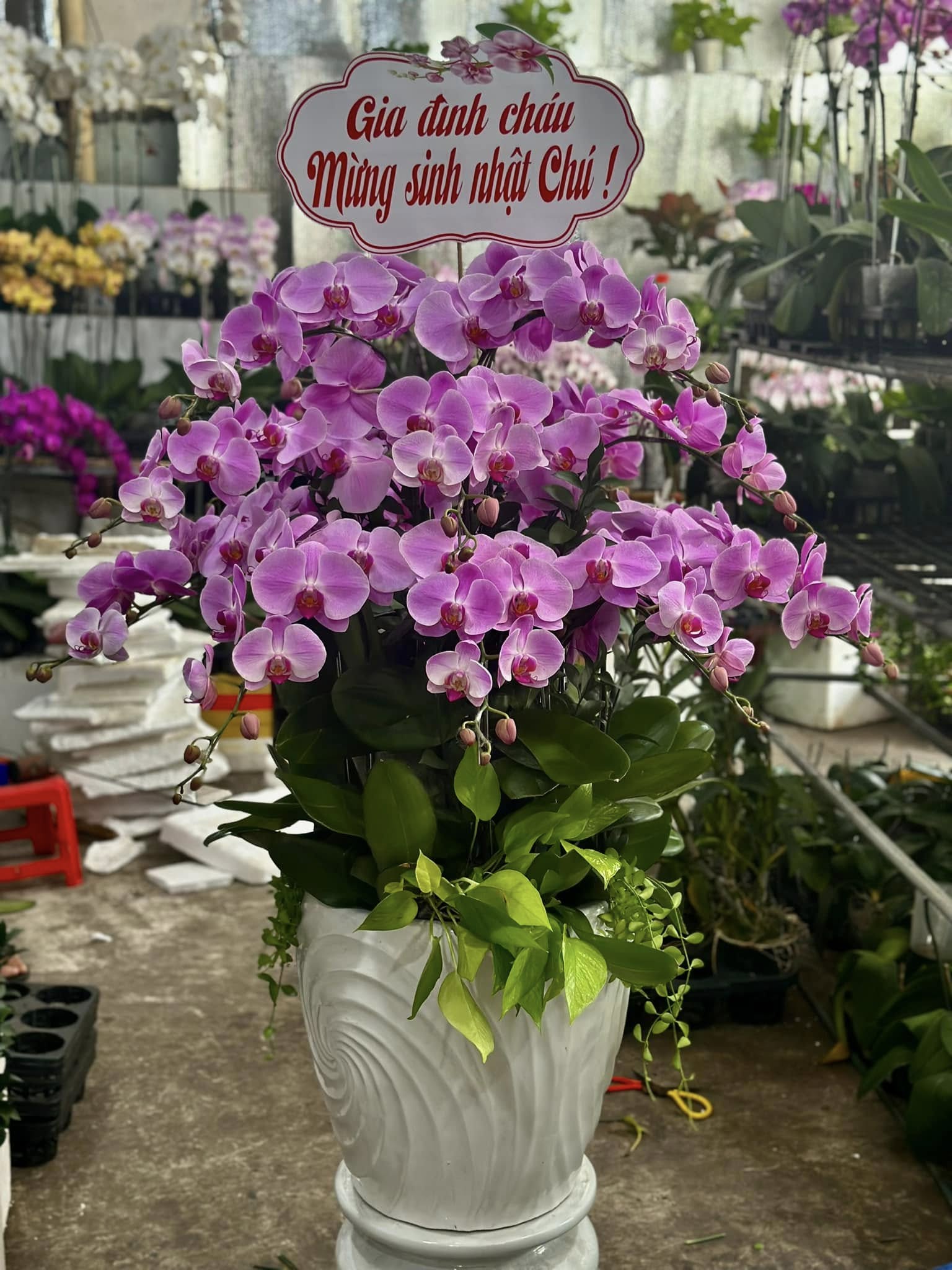 hoa sinh nhật