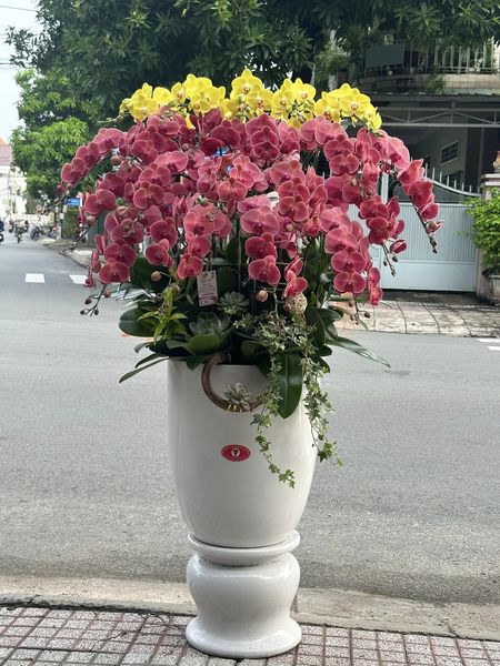 Đặt hoa chúc mừng khai trương