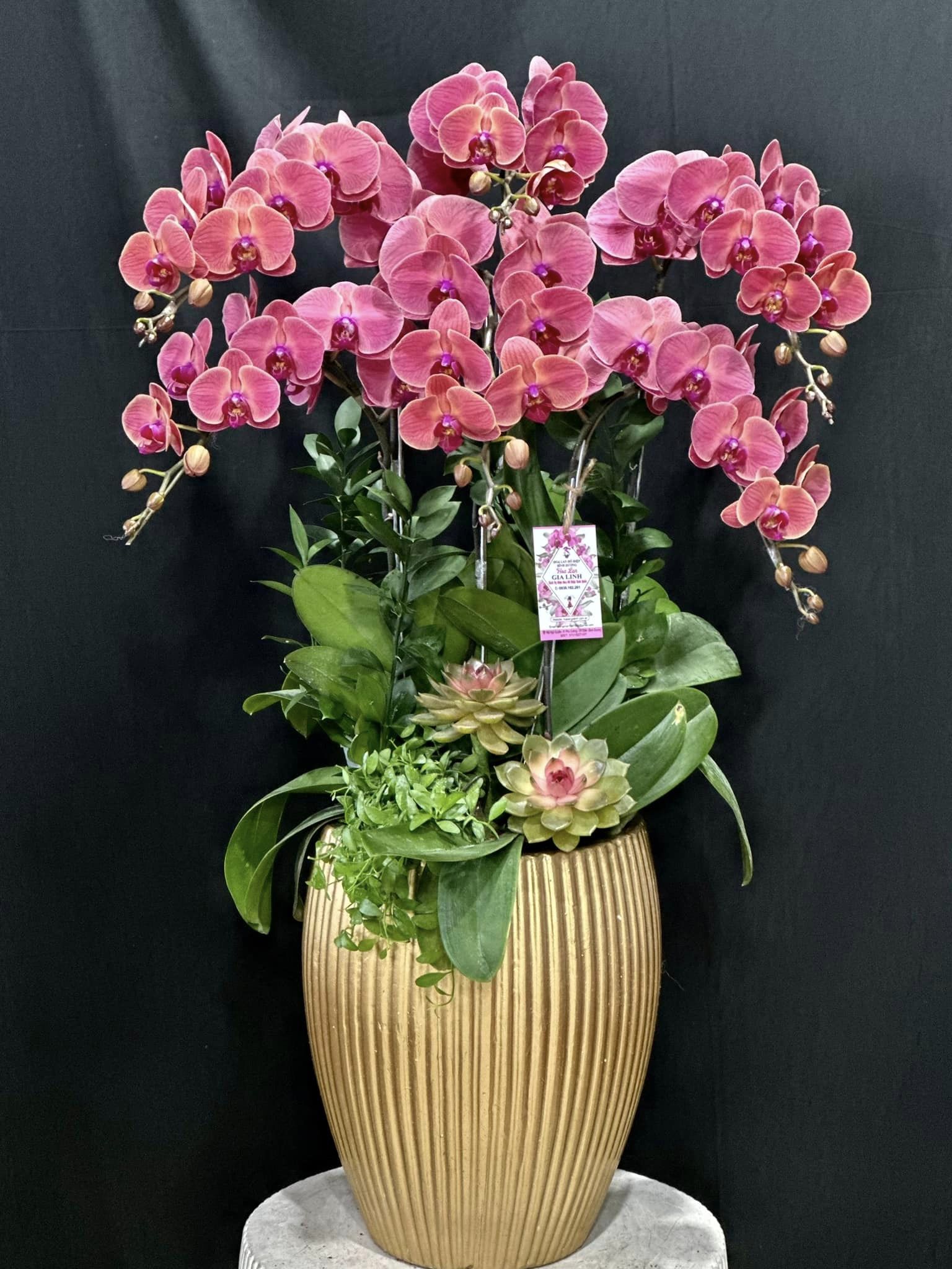 Đặt hoa chúc mừng khai trương