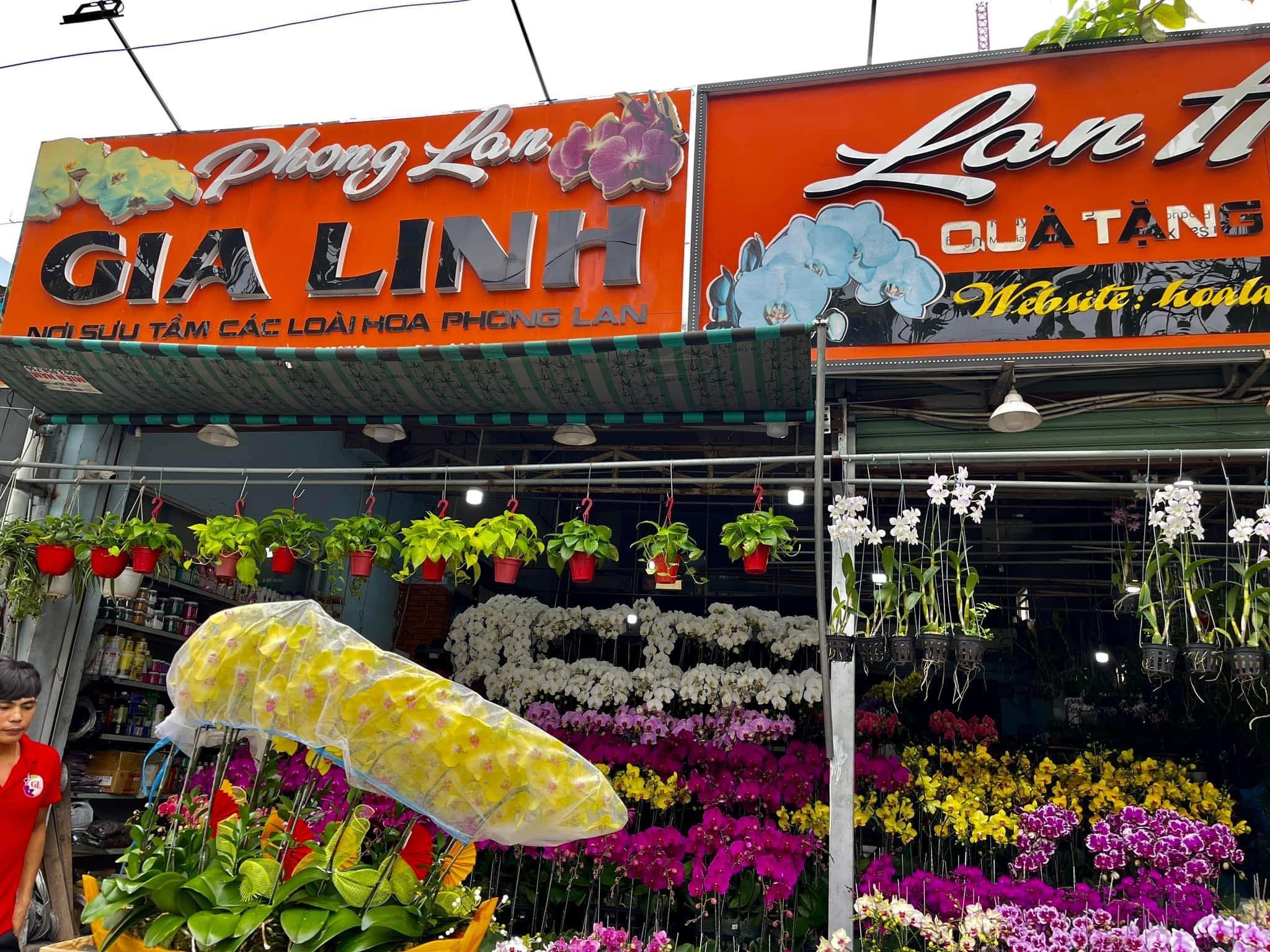 Đặt hoa chúc mừng khai trương