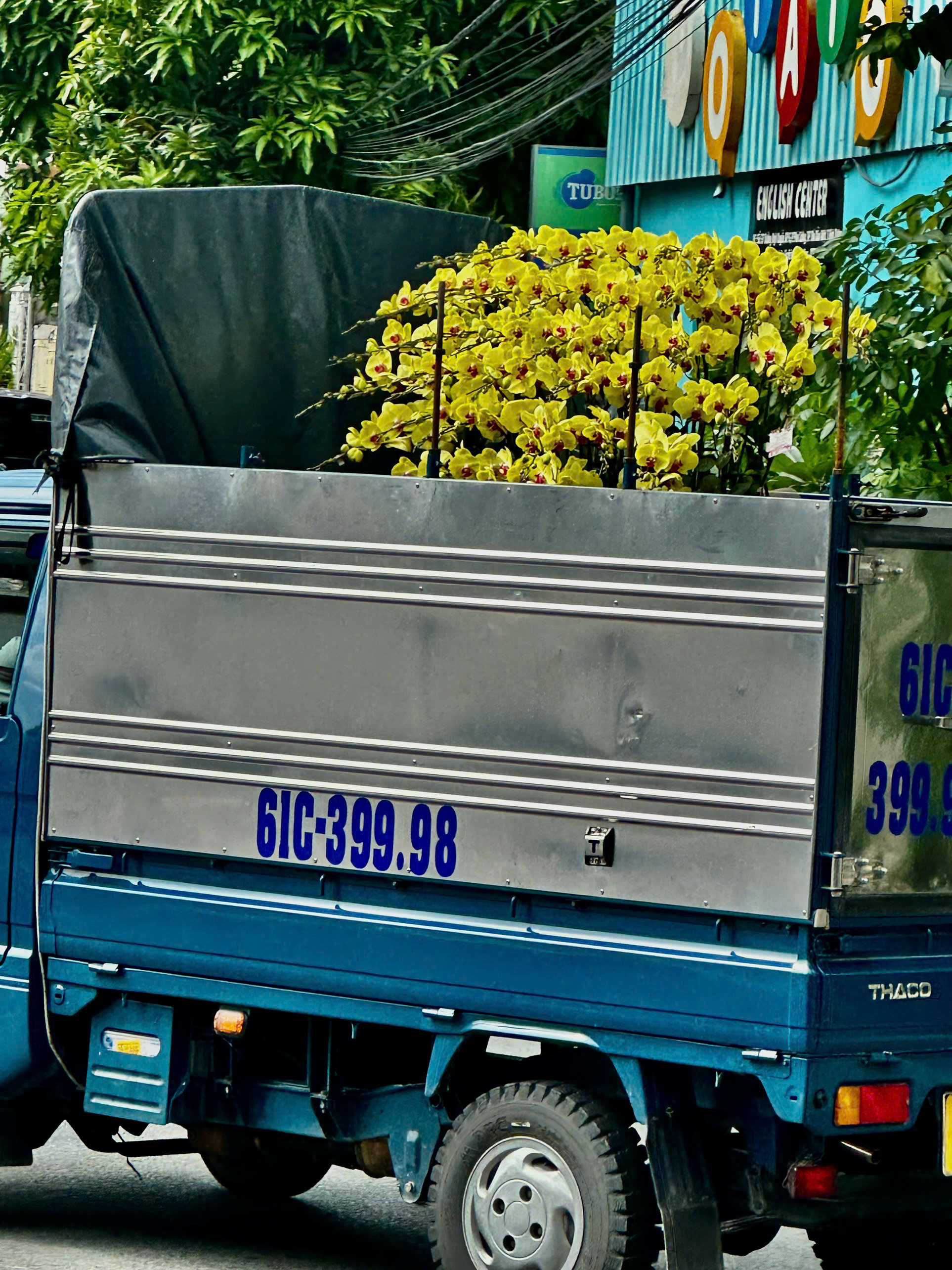 Đặt hoa chúc mừng khai trương