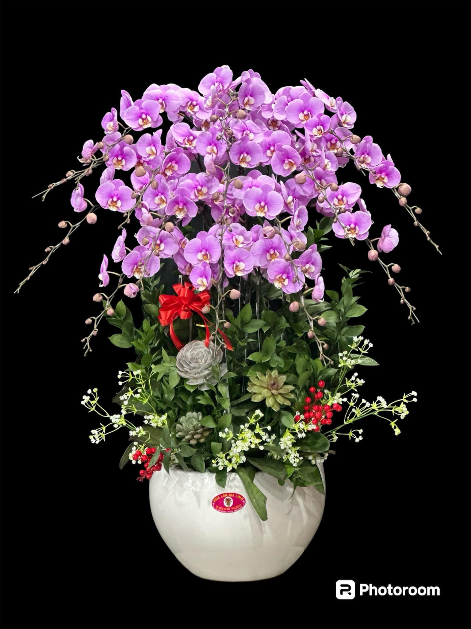 lan hồ điệp khai trương
