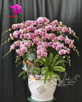 Tham khảo mẫu hoa chúc mừng nhà báo 21/6 ý nghĩa 