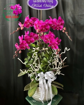 Đặt hoa đám tang tại Bình Dương giao nhanh, mẫu đẹp, giá hợp lý