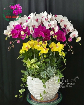 Nơi mua hoa Vu Lan ở Bình Dương chất lượng, giao tận nơi