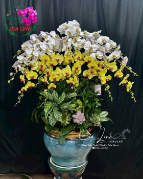 Gơi ý quà tặng ngày Báo chí Cách mạng Việt Nam