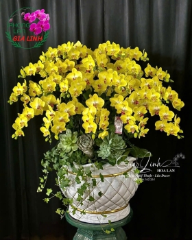 Shop bán hoa lan Vu Lan uy tín với giá hợp lý 