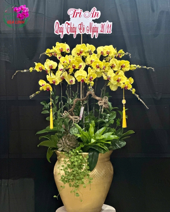20 11 tặng hoa gì