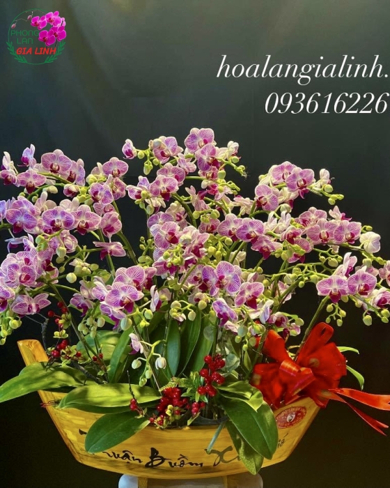 Chậu thuyền hoa mini thuận buồm xuôi gió 
