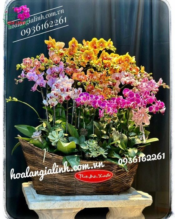 cắm hoa thuyền buồm