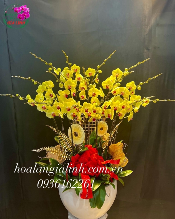 Chậu Hoa Lan Hồ Điệp Vàng Mừng Khai Trương Tân Gia 15 cành