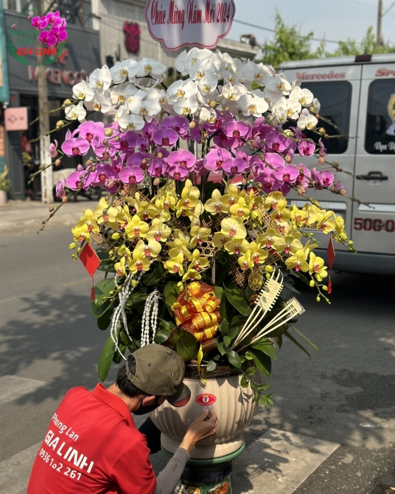 Chậu lan hồ điệp 3 tầng Phú quý phát tài