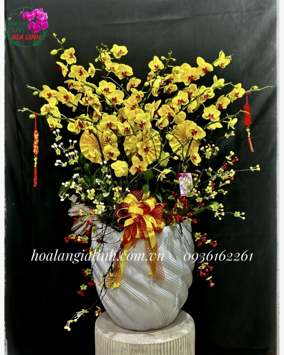 Chậu Lan Vàng Khoe Sắc