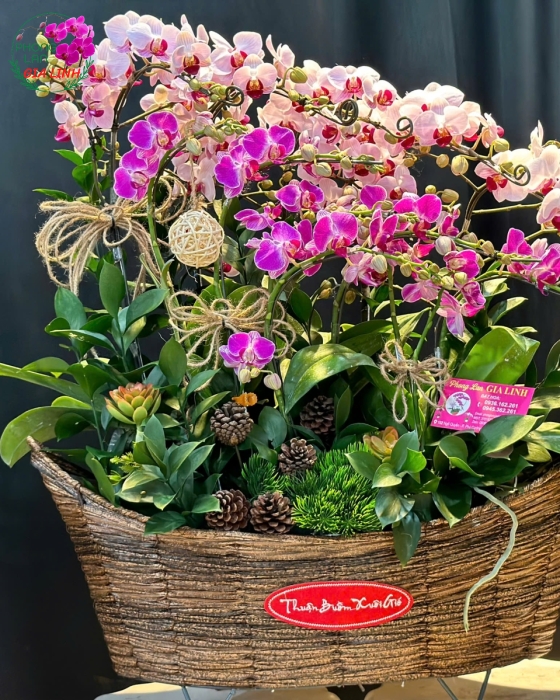 chậu thuyền gỗ cắm hoa