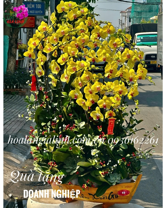 chậu thuyền gỗ thuận buồm xuôi gió
