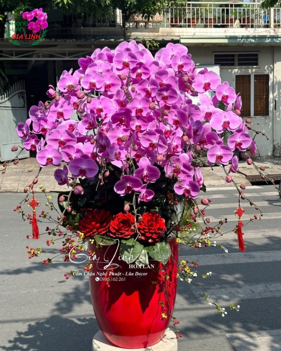 Đặt ngay giỏ hoa 8 3 đẹp để gửi yêu thương đến phái đẹp