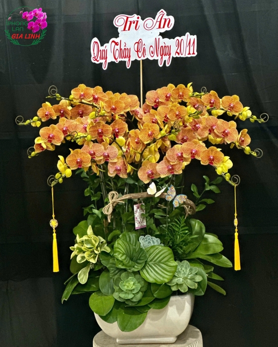 hoa 20 11 đẹp