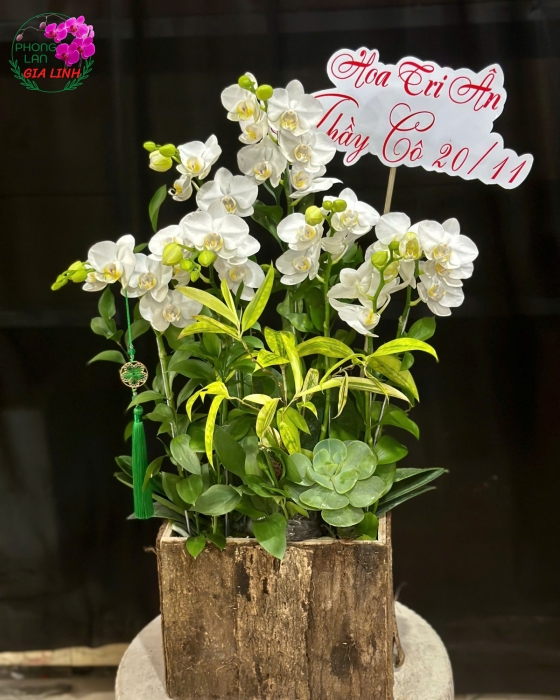 hoa chúc mừng 20 11 đẹp