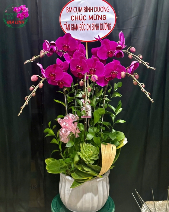 Hoa Chúc Mừng Lên Chức