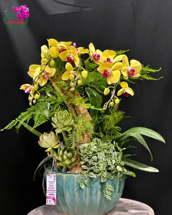 Hoa chúc mừng ngày 20 tháng 11