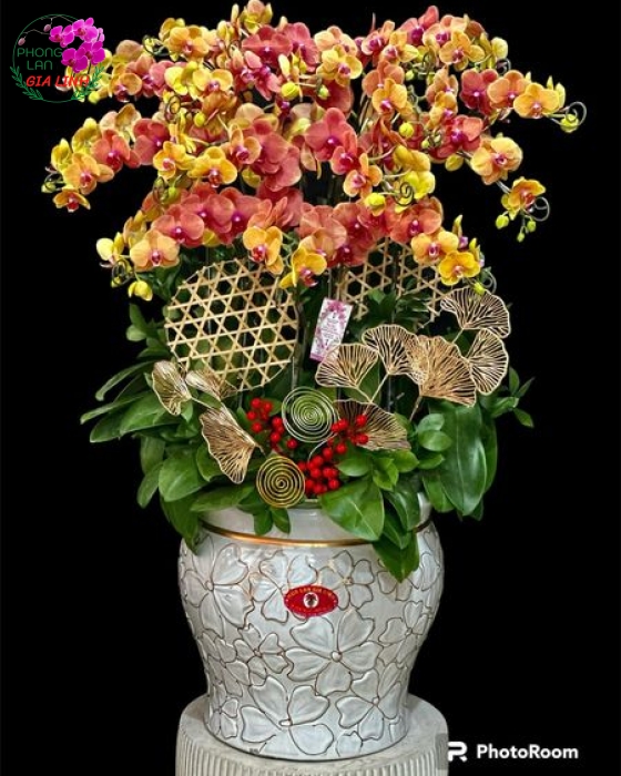Hoa đẹp 20 10 tặng vợ