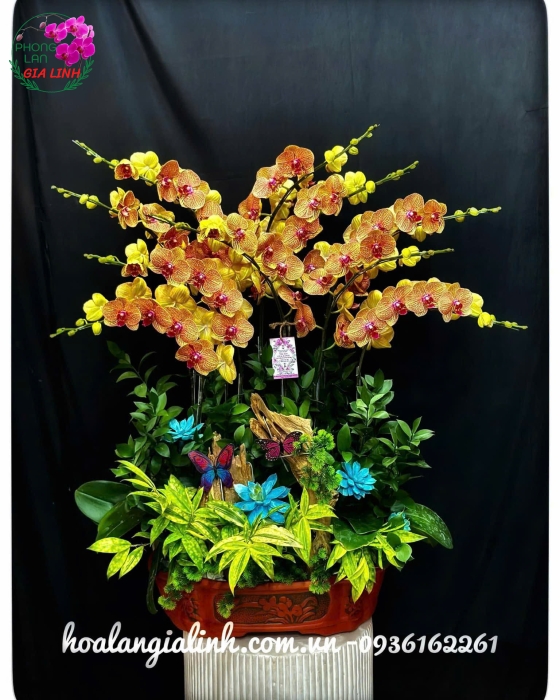Hoa đẹp 20 10 tặng vợ