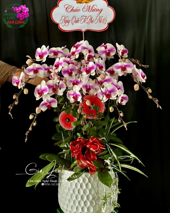 hoa đẹp tặng ngày 8 3