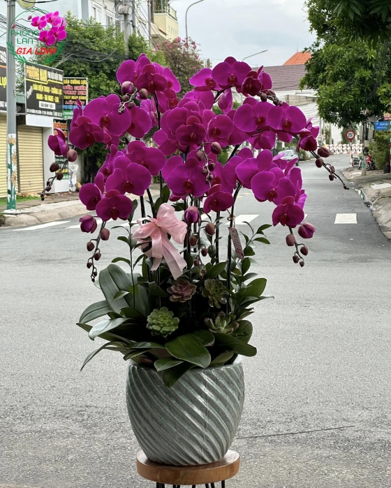 Hoa đẹp valentine - Gửi trọn tình yêu qua từng cánh hoa
