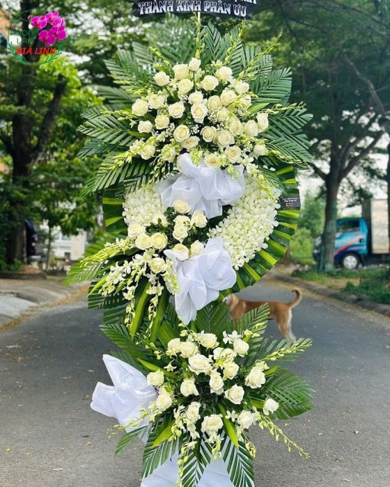 hoa hồng trắng buồn