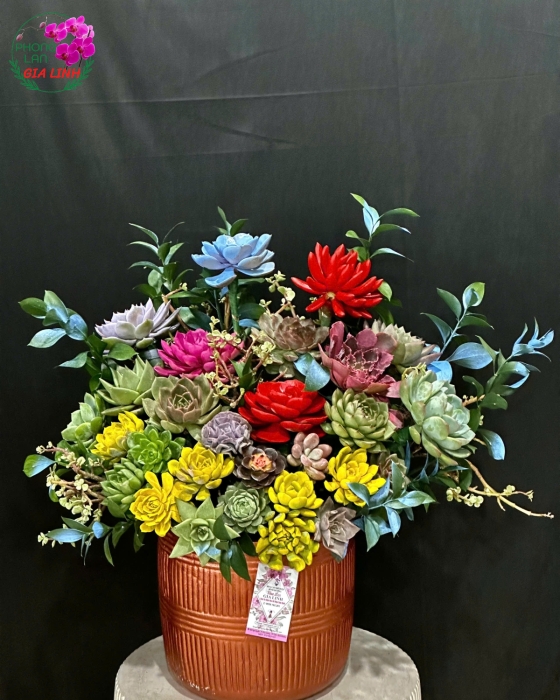 hoa sen đá tặng sinh nhật