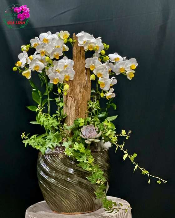 Hoa tặng cô giáo 20 11