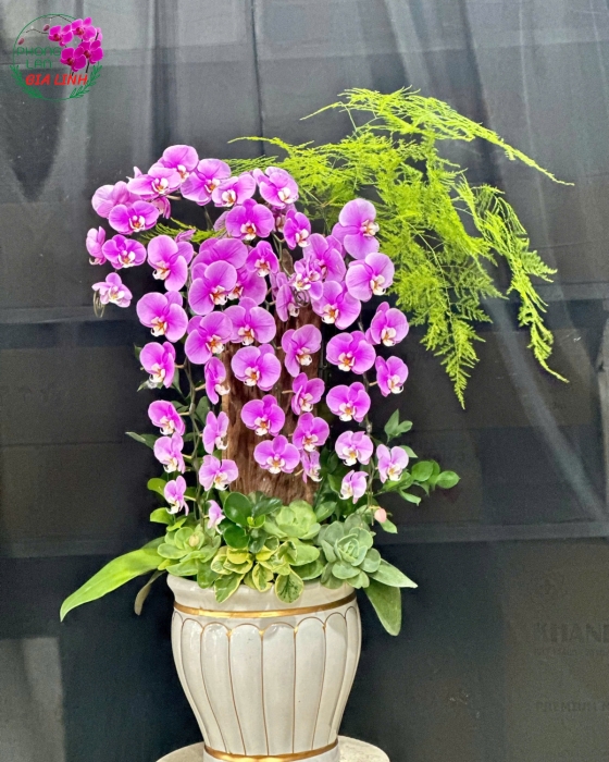Lan ghép lũa đẹp