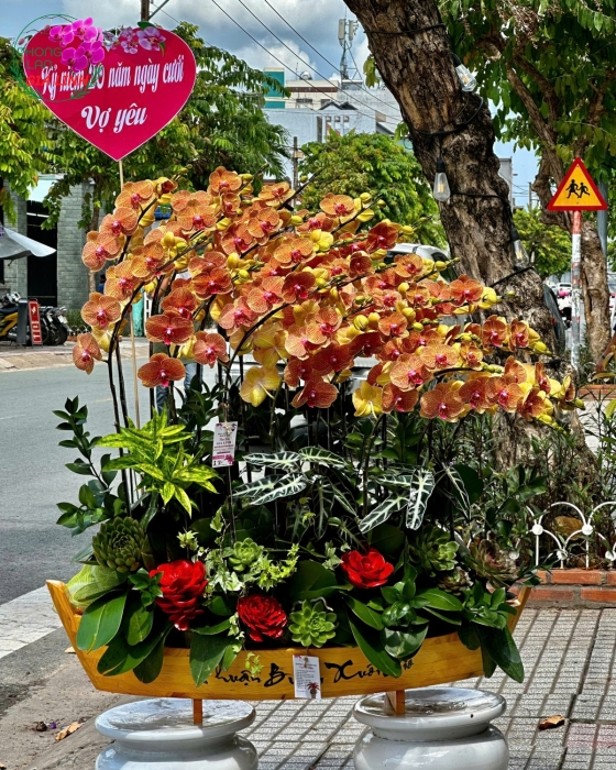 Lan hồ điệp cắm thuyền kỉ niệm ngày cưới