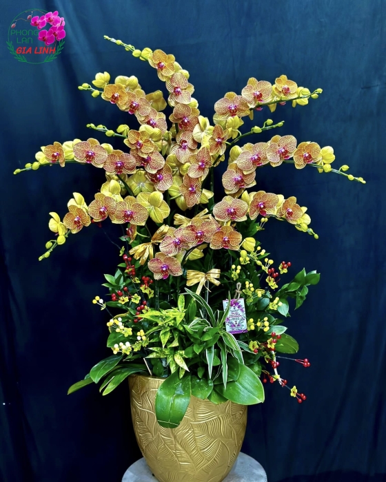 Hoa tặng ngày 20 10