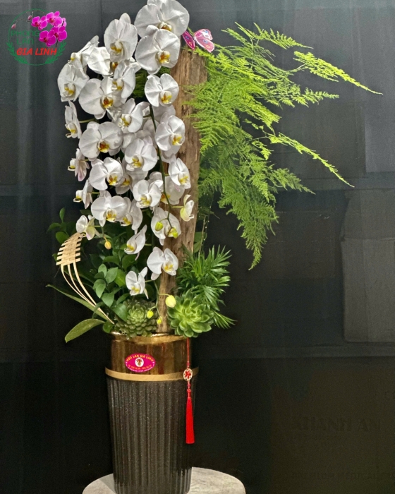 lan nào ghép lũa đẹp