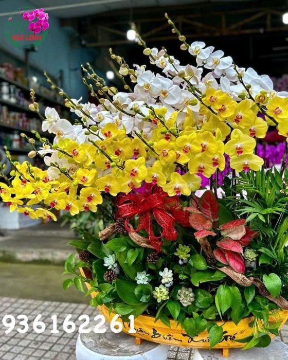 lan thuận buồm xuôi gió mừng sinh nhật