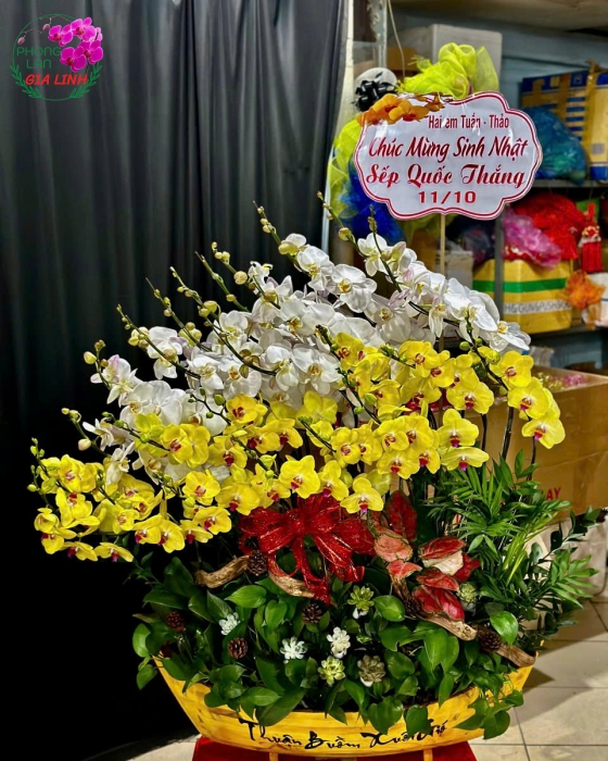lan thuận buồm xuôi gió mừng sinh nhật