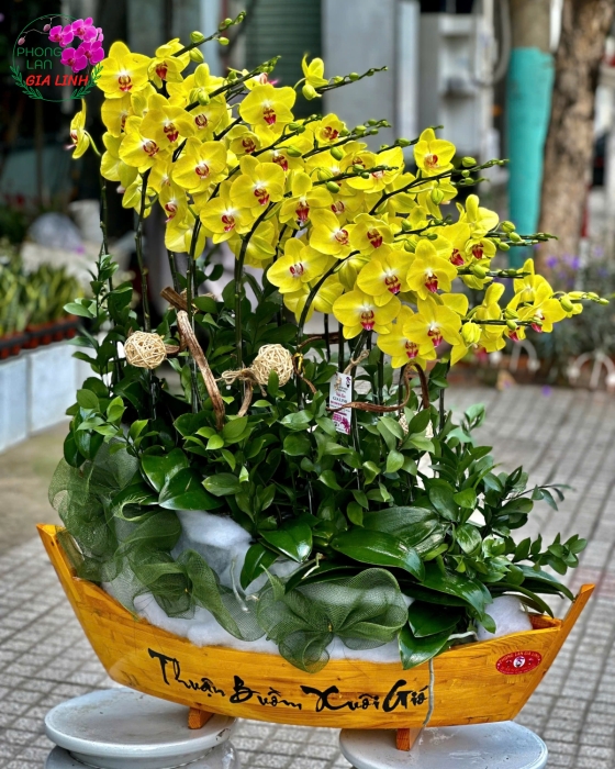 lan thuyền