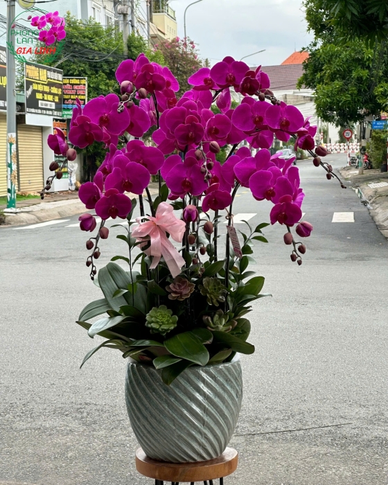 Lãng hoa chúc mừng 20 11 đẹp và ý nghĩa
