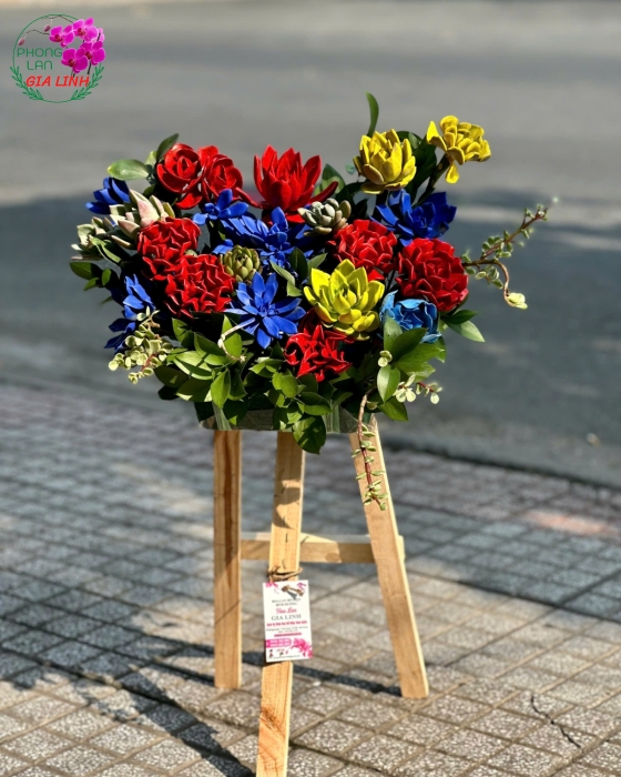tặng hoa sen đá có ý nghĩa gì