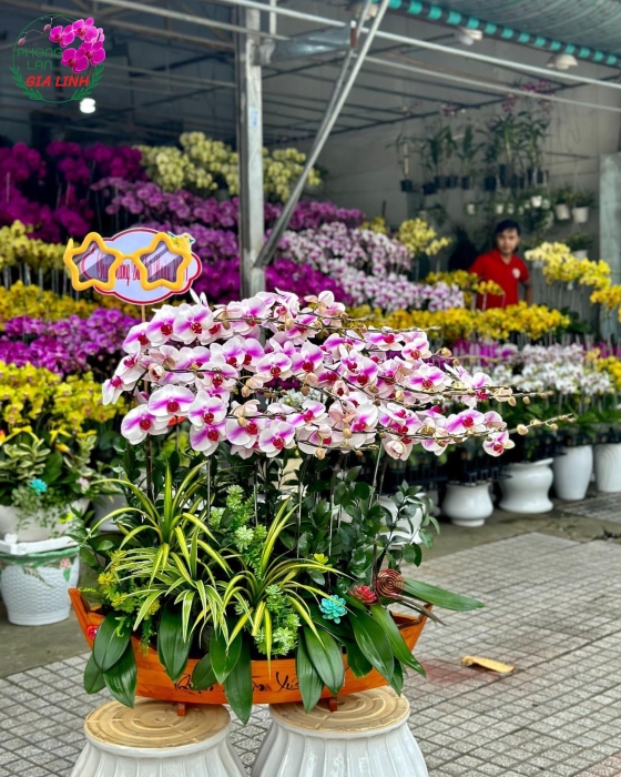 Thuyền  hồ điệp thuận buồm xuôi gió Đại thắng