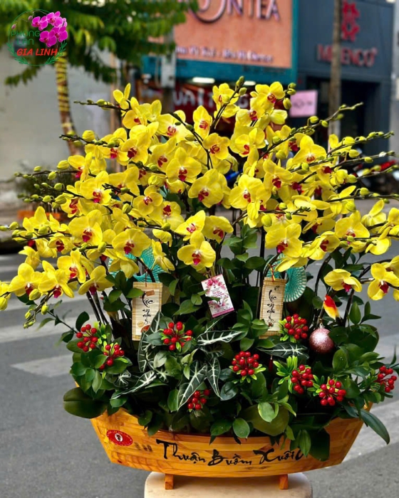 thuyền hoa lan