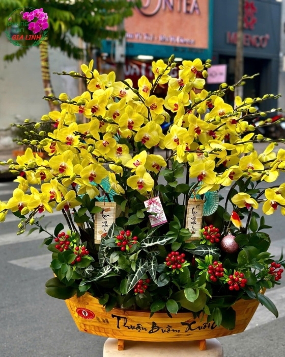 thuyền hoa lan