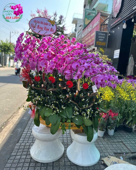 Thuyền hoa lan hồ điệp chúc mừng năm mới